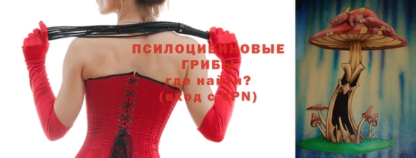 ГАЛЛЮЦИНОГЕННЫЕ ГРИБЫ Абаза