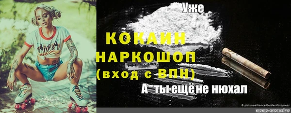 таблы Новодвинск
