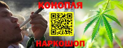 шишки Пушкино
