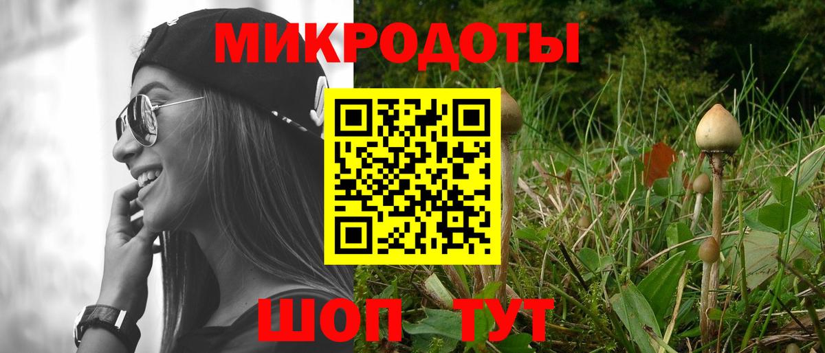 Чебаркуль  Псилоцибиновые грибы Cubensis  Вход с VPN 
